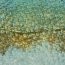 87207122